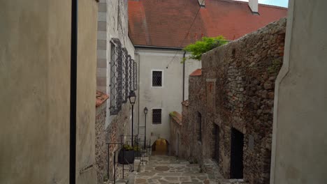 stone path in durnstein town on the banks of the danube