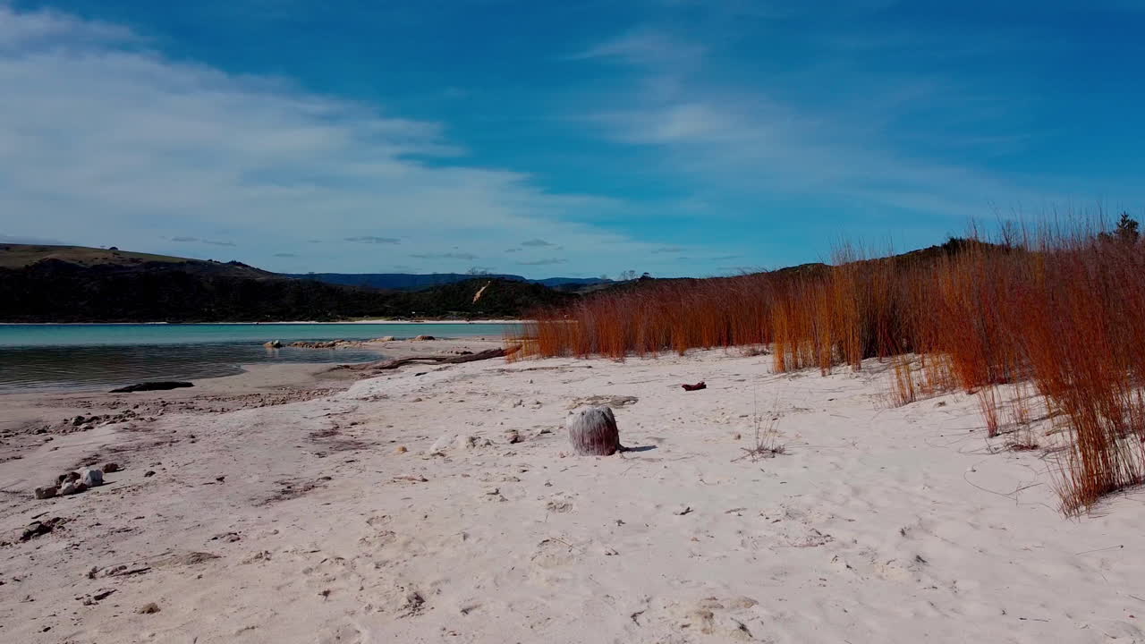 Ripresa con drone del lago dall'erba al Lago Kai Iwi, Nuova Zelanda