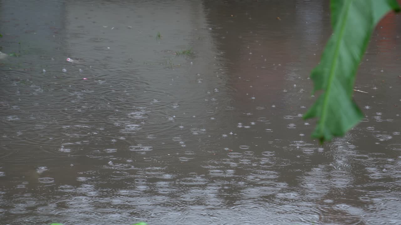 정체된 물과 눈에 보이는 빗방울