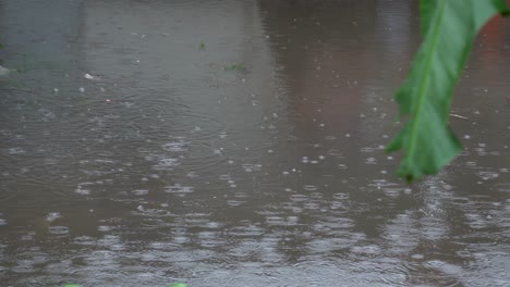 agua estancada y gotas de lluvia visibles