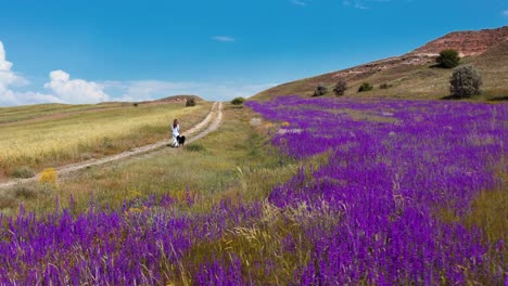 rear view of a woman hiking with her dog in the mountain trail on a sunny summer day, nature adventure concept, outdoor travels