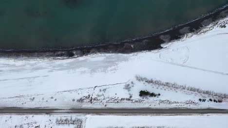aerial top down shot of a shore in the winter, waves crashing into a snowy beaches