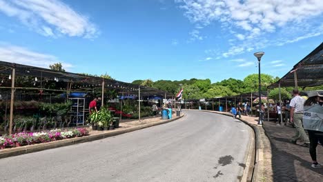 customers browsing plants at a garden center.