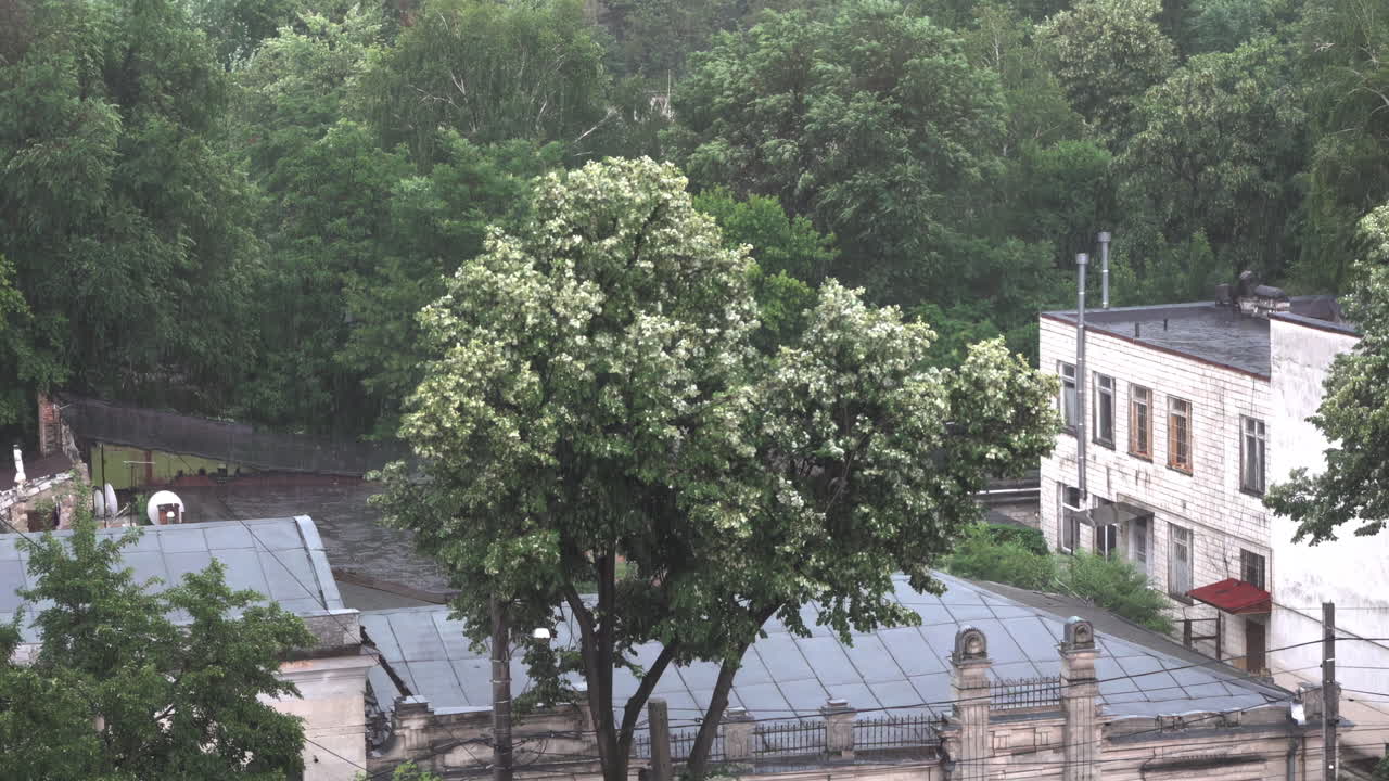 View of buildings and tress in the rain