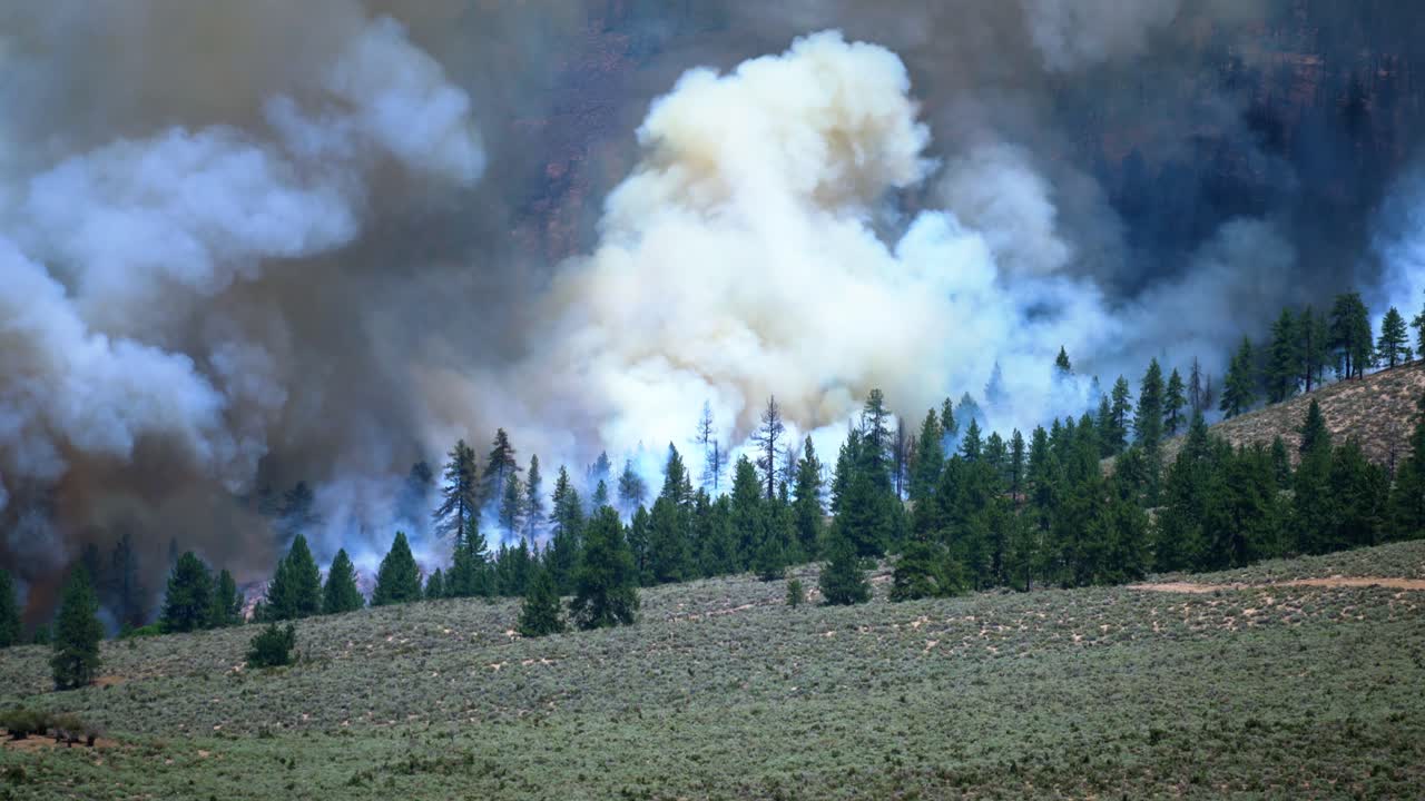 emergencia climática