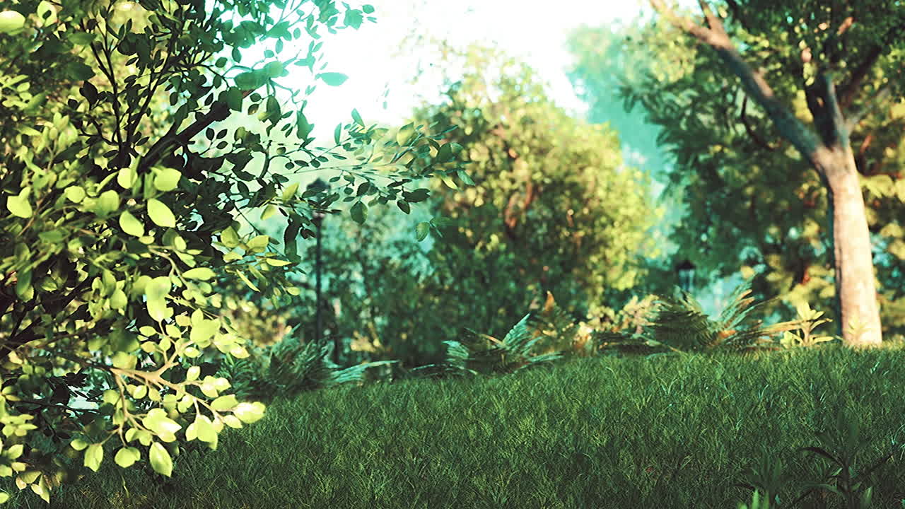 vista panorámica del parque con campo de hierba verde en la ciudad