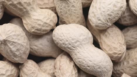 pila giratoria de cacahuetes crudos con conchas