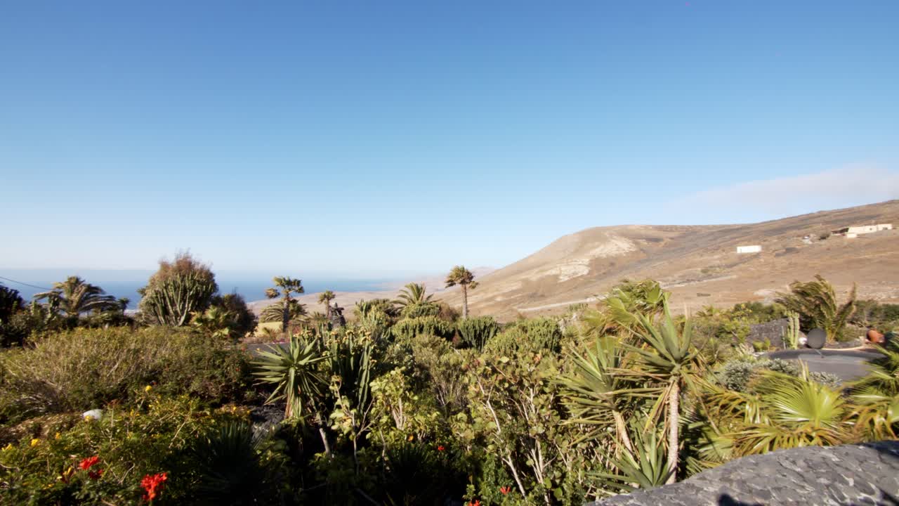 바람 부는 날 카나리아 제도에 있는 이국적인 식물과 야자나무의 장엄한 야생 자연림