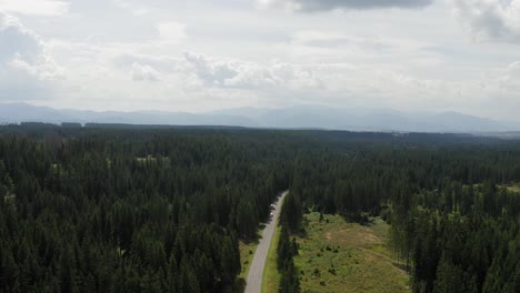 Maravillosas-Imágenes-De-Un-Largo-Camino-Con-Pinos-Altos-En-La-Montaña-Tatra-En-Pribylina,-Eslovaquia---Toma-Aérea