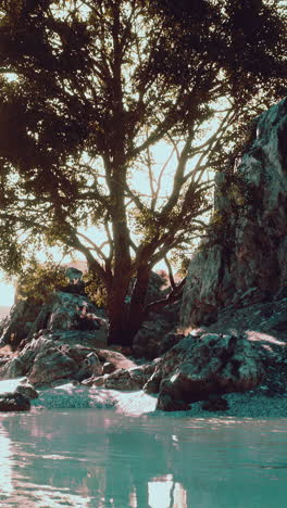 un gran árbol se erige alto junto a un lago, sus ramas se extienden hacia el sol