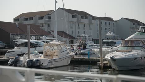 boats and yachts docked in newport harbor in the summer time