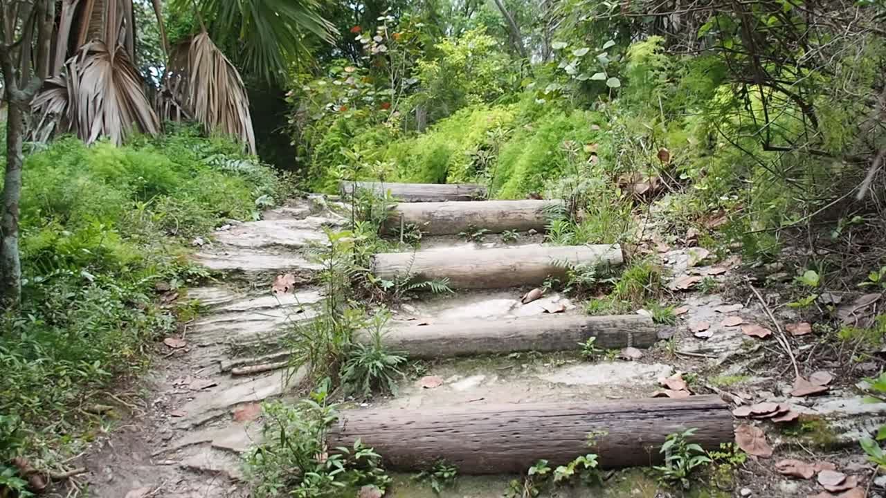 spittal 연못은 버뮤다 자연 보호 구역 중 하나입니다.