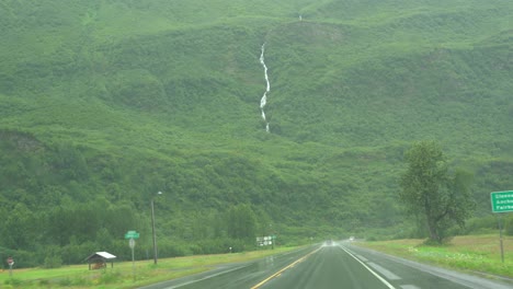 driving-through-lush-green-forest