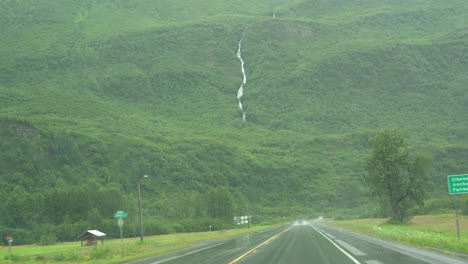 conduciendo a través de un exuberante bosque verde