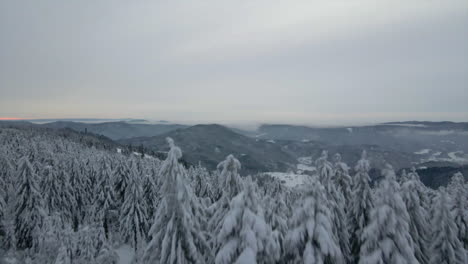 Revelando-El-Pintoresco-País-De-Las-Maravillas-Del-Invierno-En-La-Selva-Negra,-Alemania