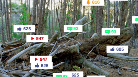 man wearing camouflage crouching in pine forest, displaying floating social media marketing icons