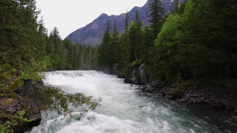 Cascada-Del-Río-Furioso-En-El-Bosque-En-El-Parque-Nacional-Glacier-En-Montana-En-Verano