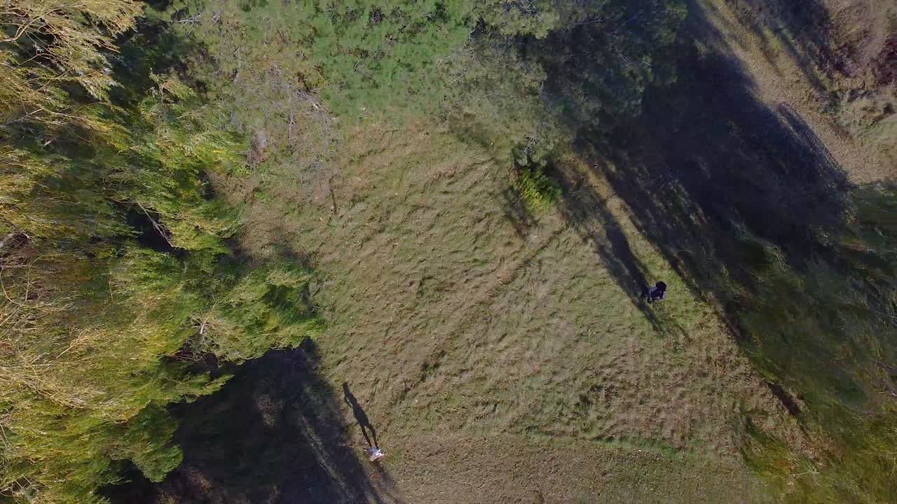 지면을 향해 회전하는 공중