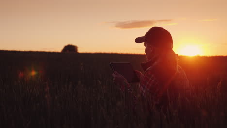 Eine-Bäuerin-Arbeitet-Bei-Sonnenuntergang-Auf-Dem-Feld-Und-Genießt-Eine-Tablet-Technologie-Im-Agrobusiness-4k