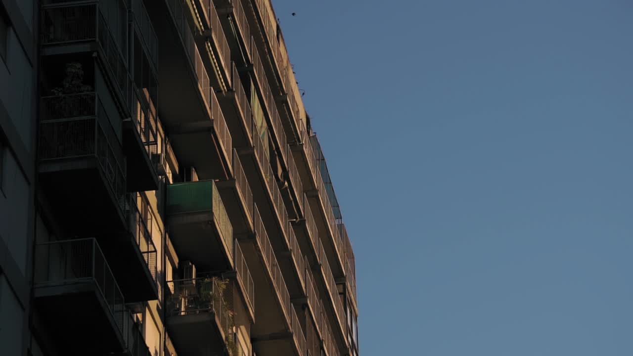 Rallentatore di uccelli che volano e atterrano su un edificio all'ora d'oro