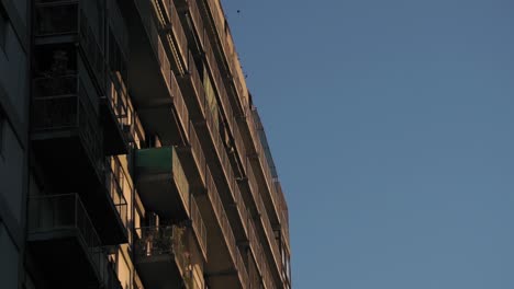 Slomo-of-birds-flying-and-landing-on-building-at-golden-hour