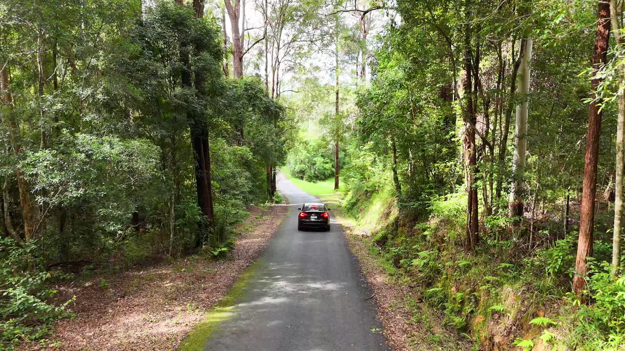 A car travels along a narrow, tree-lined road in Bellingen, NSW. Bright daylight illuminates the verdant forest surroundings