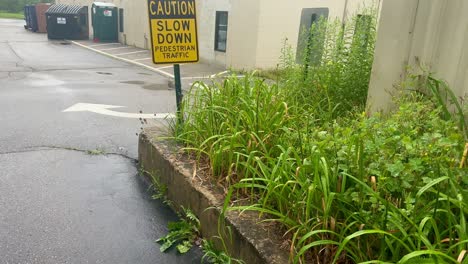 street sign on corner - slow down