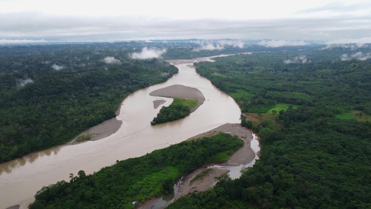 Aerial drone footage descending over a curving brown Amazon river with exposed sandbanks and dense rainforest on both banks in Ecuador under low clouds.