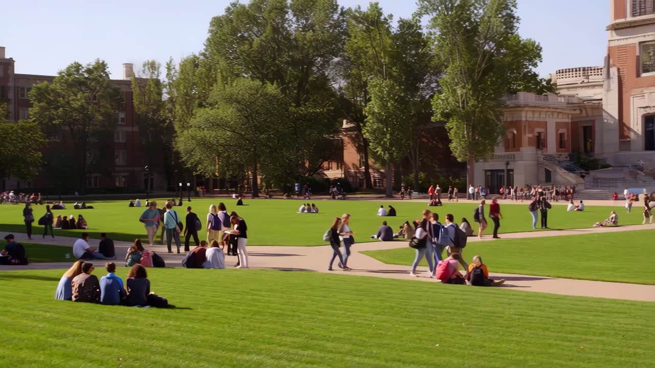 Students and people relaxing on a sunny college campus lawn