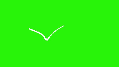 short line and shapes animation effects elements on green screen chroma key