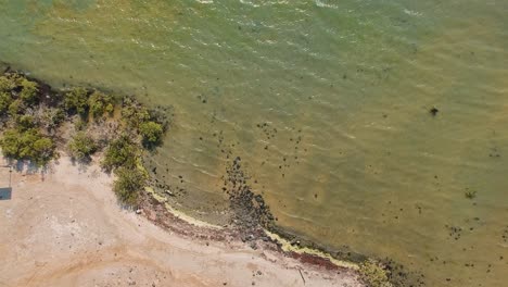 Nach-Unten-Blickende-Drohnenaufnahme-Einer-Küstenlinie-In-Saudi-arabien-Am-Roten-Meer