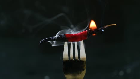 burning indian red chili pepper on metal fork against black background, static shot