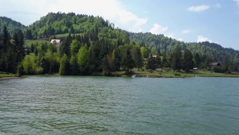 Aerial-Downwards-moving-shot-of-low-altitude-trees-and-water-in-lake