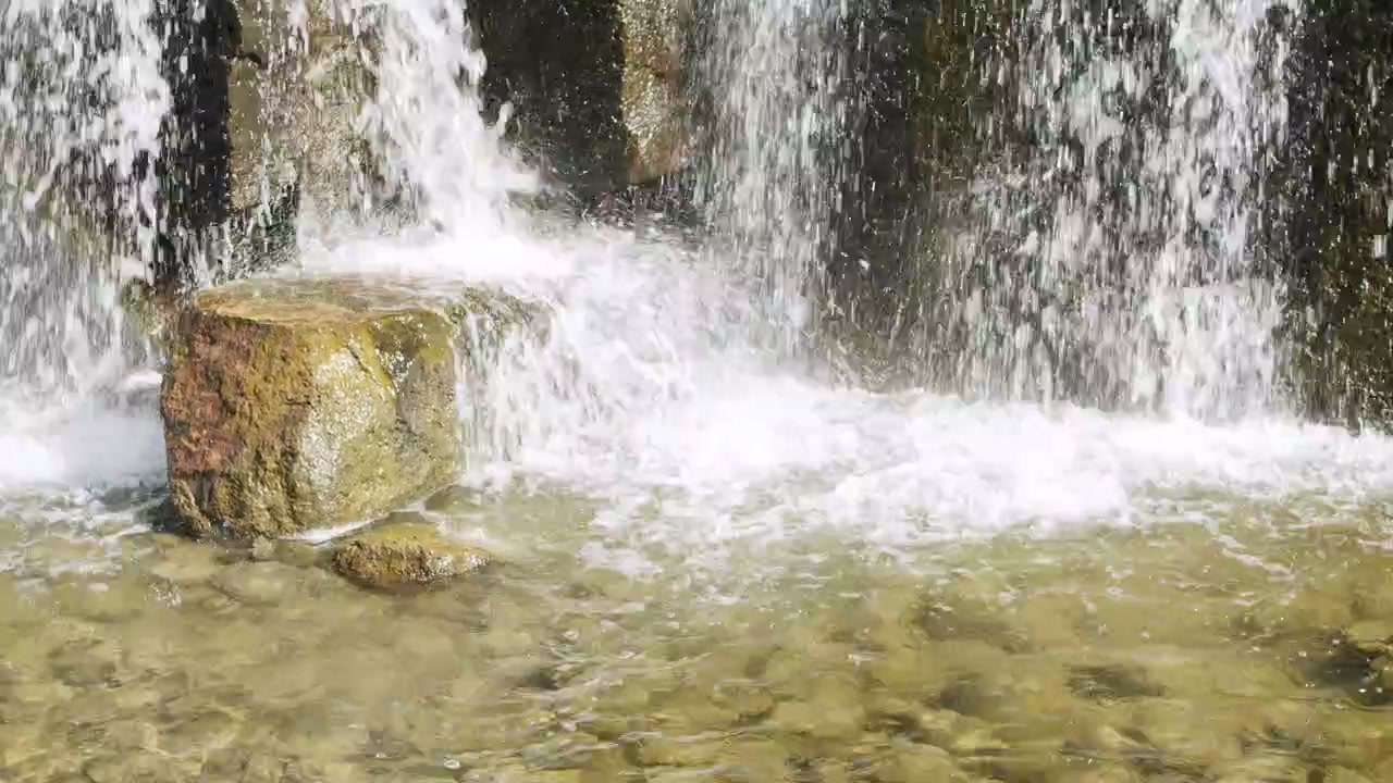 The base of a small waterfall in the forest.