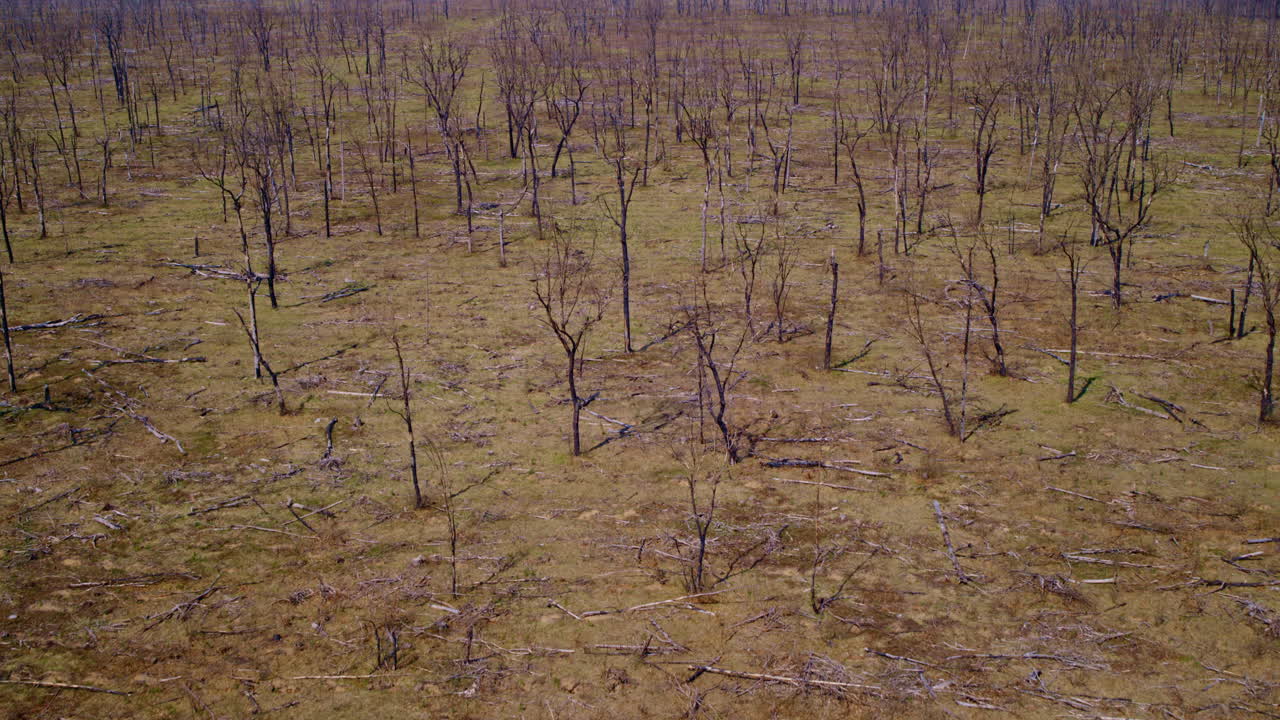 드론이 광활한 불타버린 사막 위를 날아다니고 있습니다.