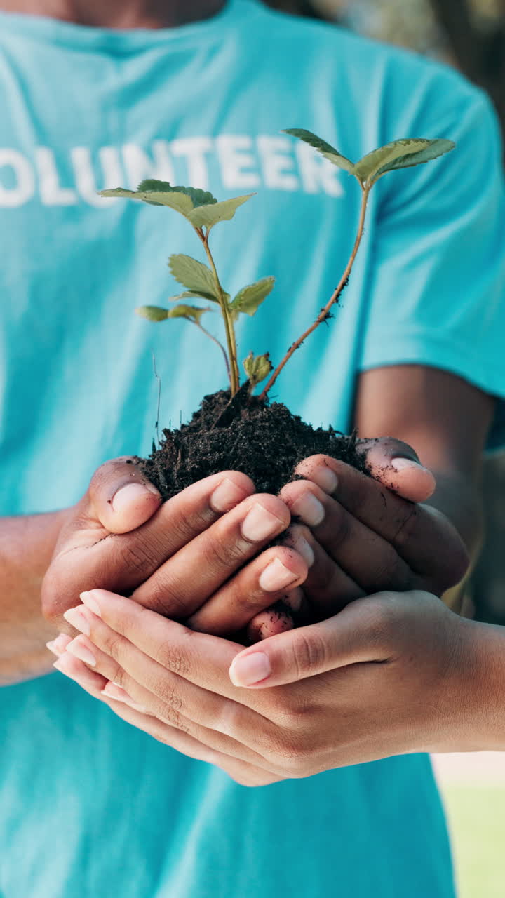 Volunteer Hands Holding a Young Plant with Soil