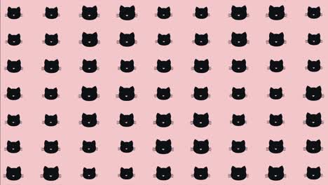 4k cat head animated background pattern