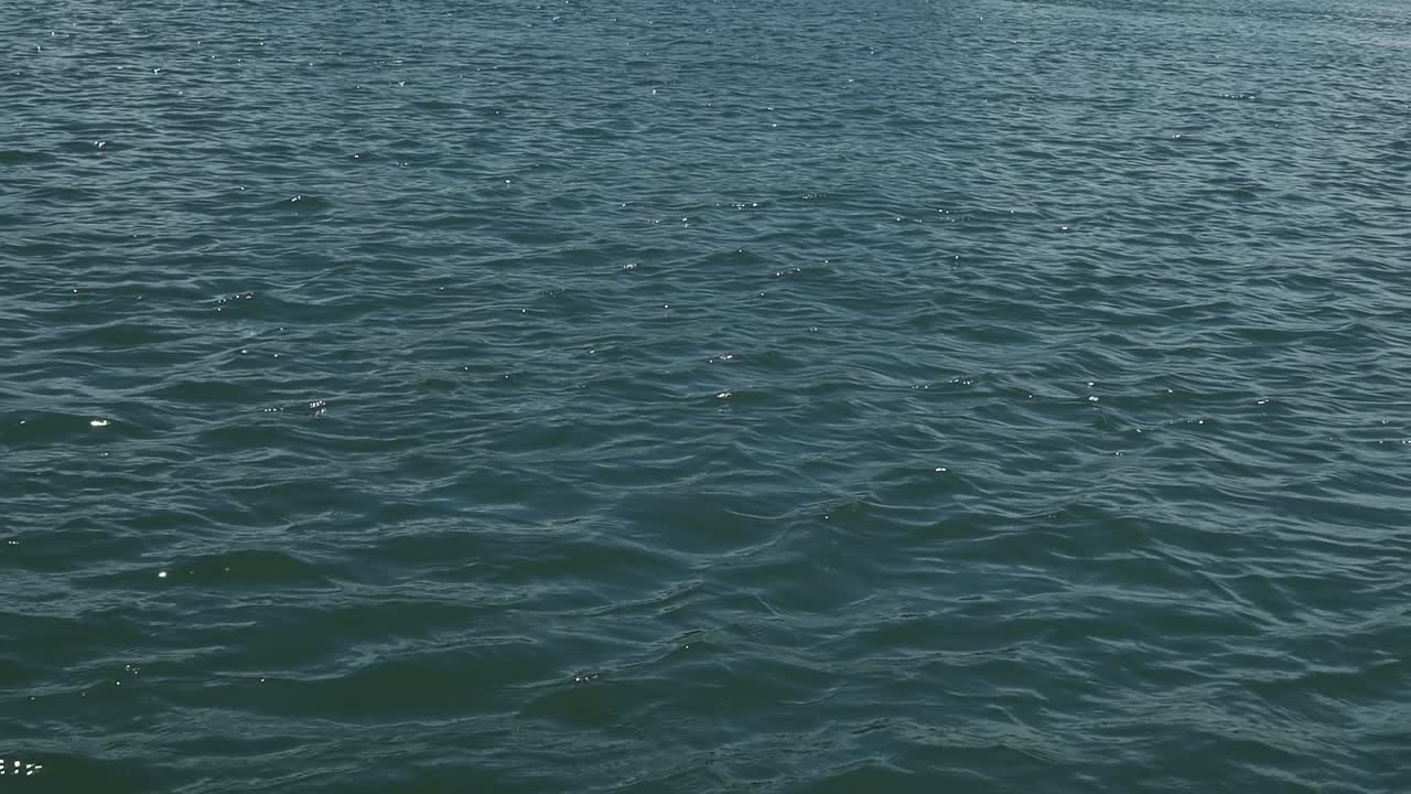 여름날 브라질 리오 그란데 도 노르테에 있는 해안 마을인 바라 두 쿤하우 건너편에 있는 멋진 열대 레스팅가 해변을 드러내기 위해 느리게 움직이는 큰 강에서 슬로우 모션 샷을 기울입니다.