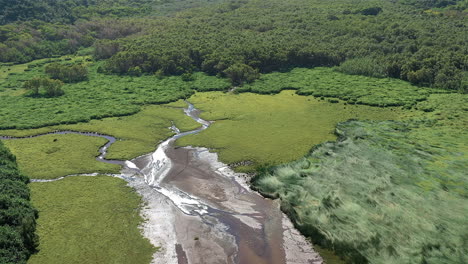 Drohnenaufnahmen-Vom-Pololu-Tal-Auf-Der-Großen-Insel-Hawaii