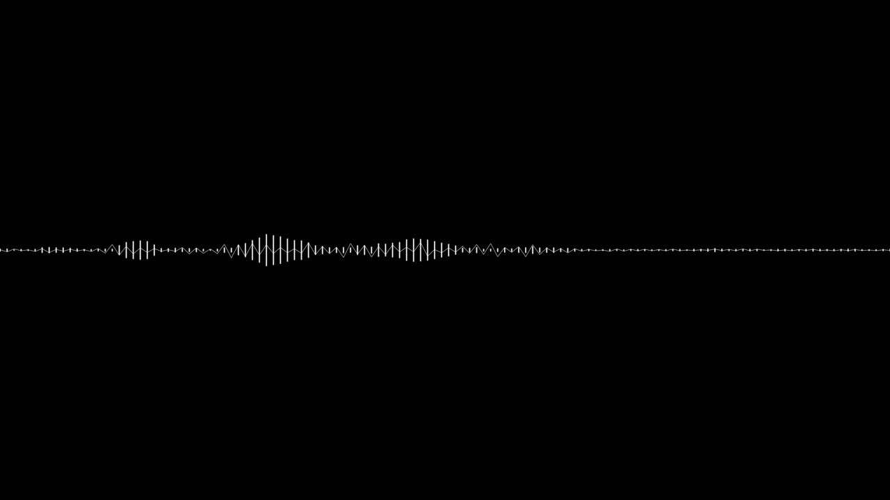 A simple white and black audio spectrum visualization effect