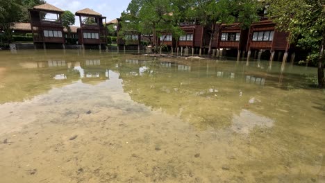 camera moves steadily toward wooden overwater bungalows surrounded by mangrove trees, reflecting in shallow, sunlit wetland waters under a clear blue sky