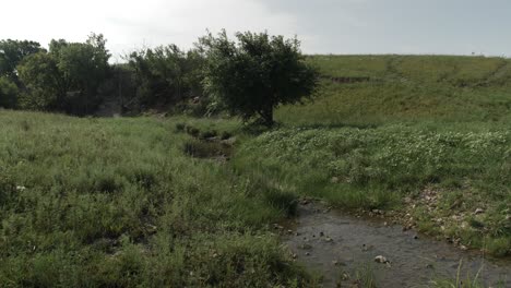 Una-Corriente-De-Agua-Fluye-A-Través-De-La-Hierba-Verde-Y-Los-árboles-En-Las-Colinas-De-Pedernal-De-Kansas-En-Un-Cálido-Día-De-Verano