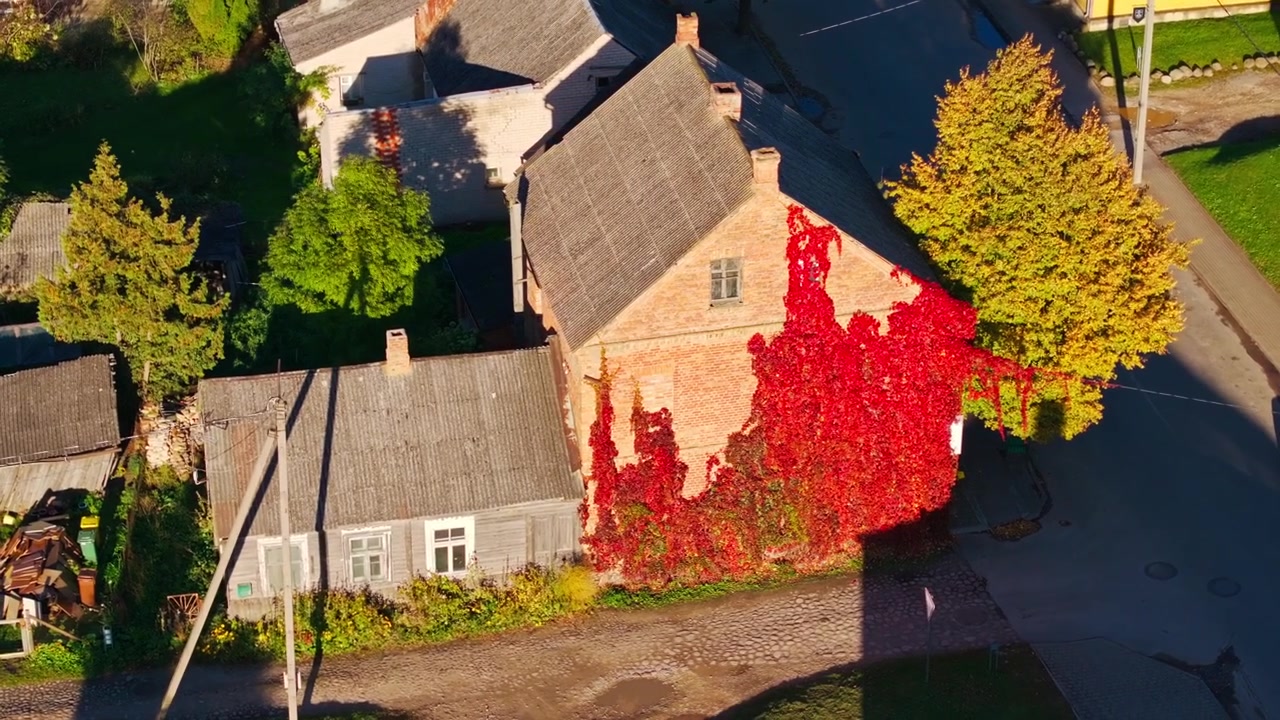 Dron obracający się w lewo nad domem pokrytym bluszczem w Żagarach na Litwie jesienią.