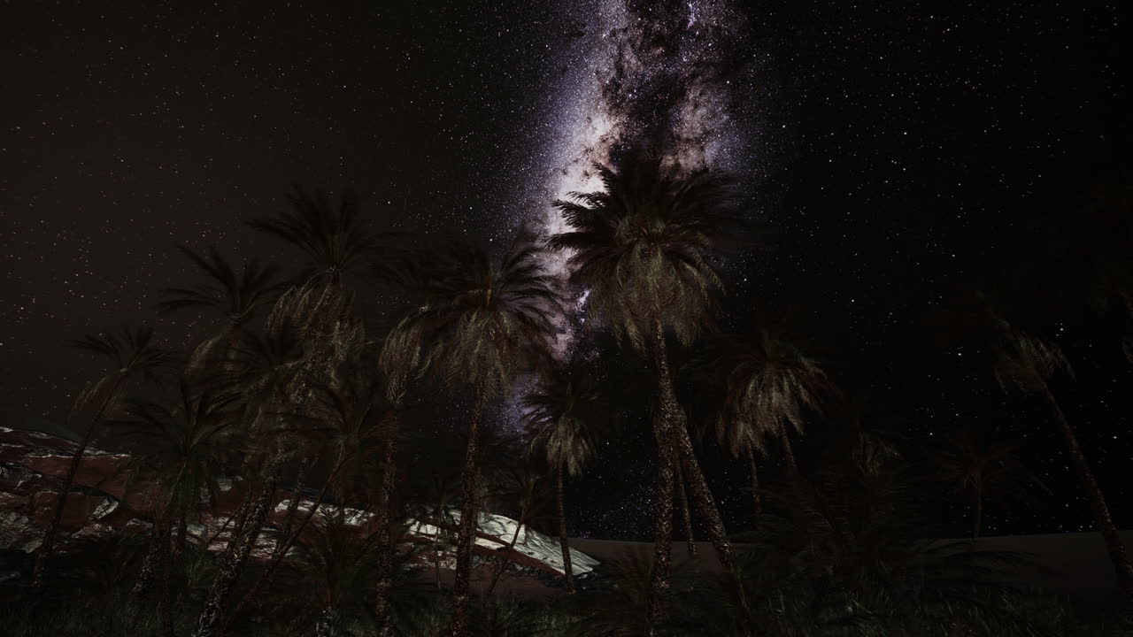 Via Lattea su un'oasi nel deserto