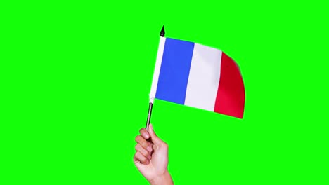 Hand holding France flag in the studio