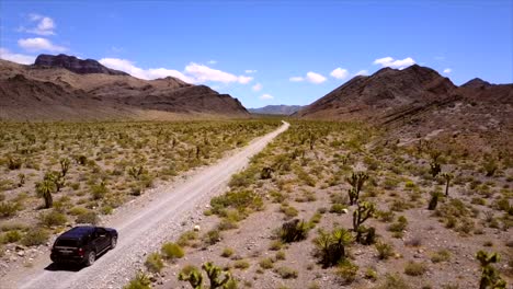 coche conduciendo por el sendero del desierto en nevada