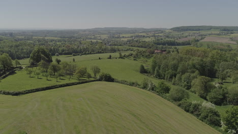 AERIAL:-Tree-passing-by-on-the-foreground-revealing-a-sunny,-rolling-landscape