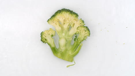on a white background sliced broccoli is sprinkled with water. water washes over fresh green broccoli.