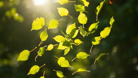 a captivating display of whirling green leaves illuminated by gentle sunlight, creating a serene atmosphere of nature's beauty and calmness