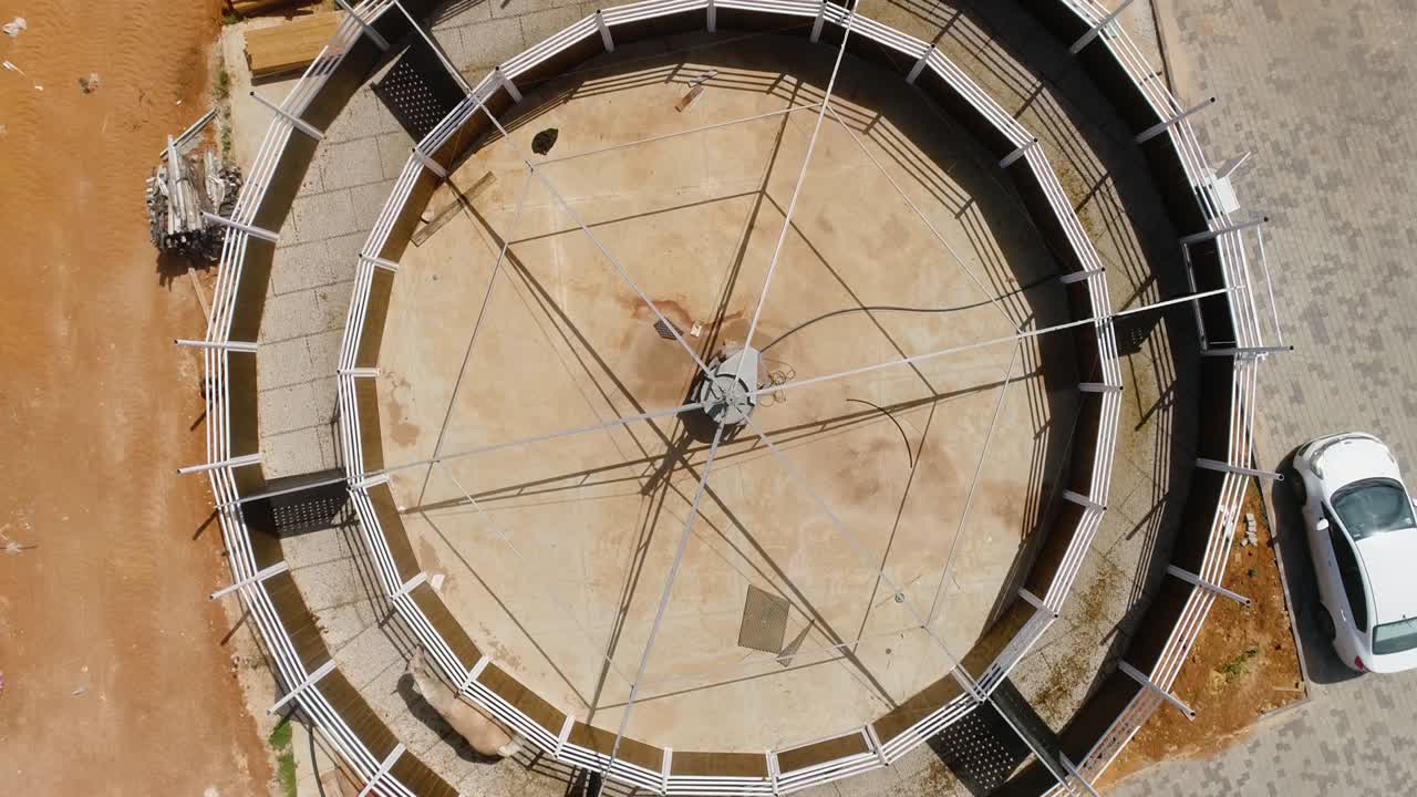 tiro aéreo por encima de animales que caminan en un exterior circular. cerca redonda de círculo para caballos sementales animales de entrenamiento ecuestre en un patio de rancho en el campo durante el día.